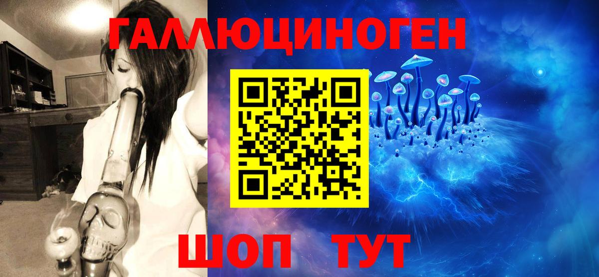 где можно купить наркотик  Псилоцибиновые грибы MAGIC MUSHROOMS  Вход с VPN  Татарск  Галлюциногенные грибы Cubensis 